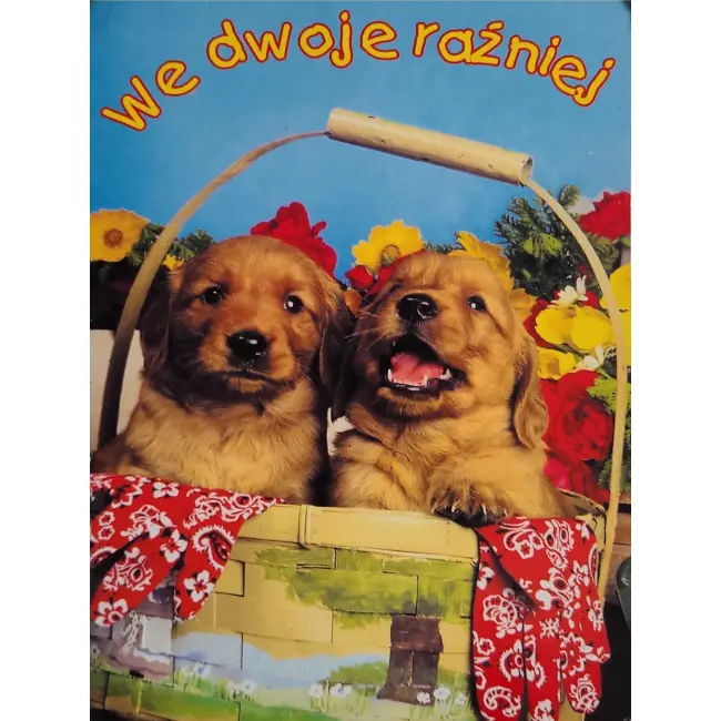 Pies, psy, pocztówka z motywem psa