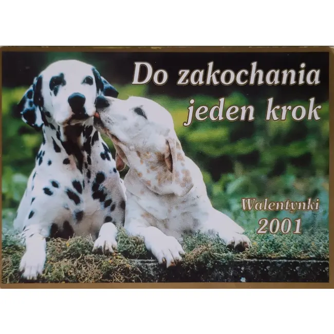 Pies, psy, pocztówka z motywem psa