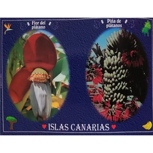 Wyspy Kanaryjskie – Flora