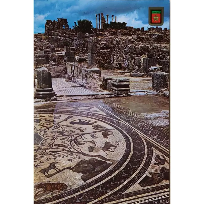 Volubilis dom Orfeusza