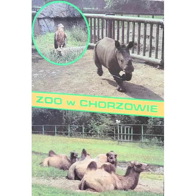 Bielik, Nosorożec, Wielbłąd Zoo Chorzów