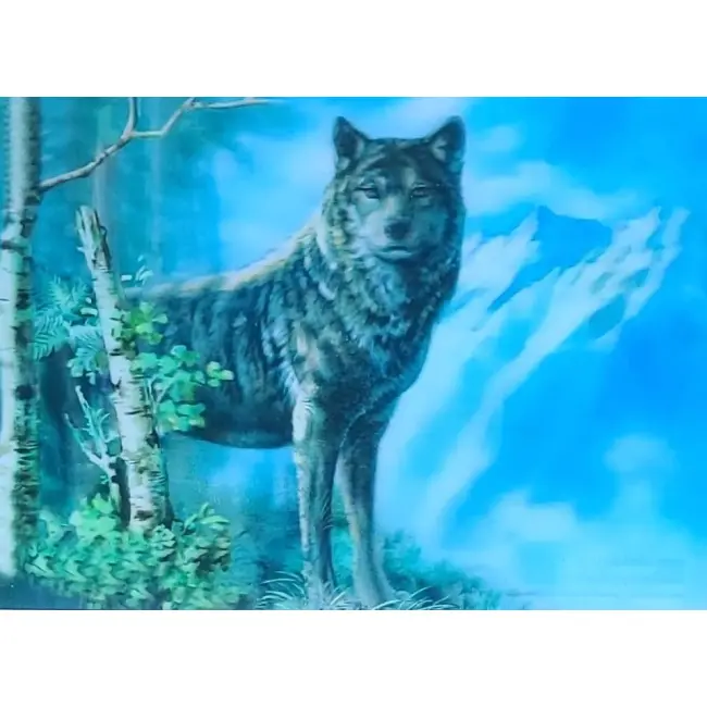 Pocztówka 3D – wyprzedaż – duży format