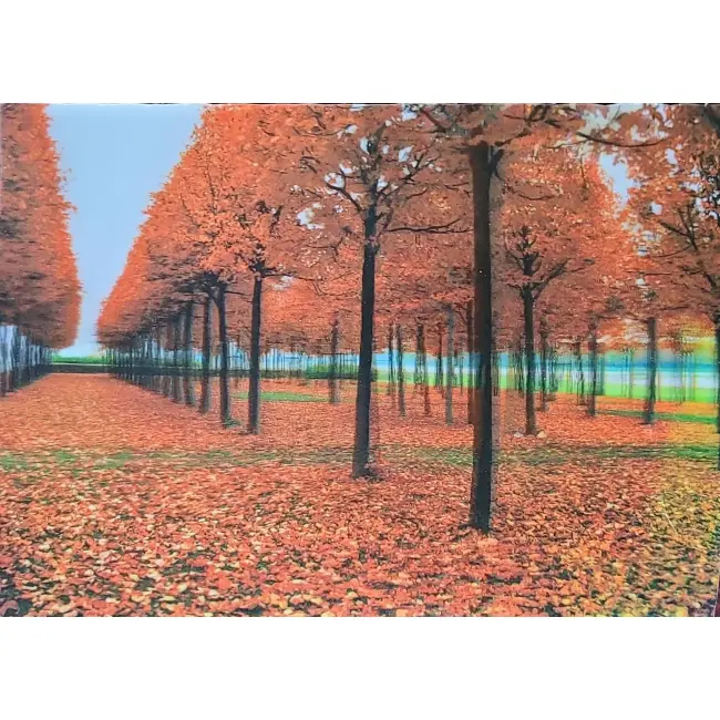 Pocztówka 3D – wyprzedaż – duży format