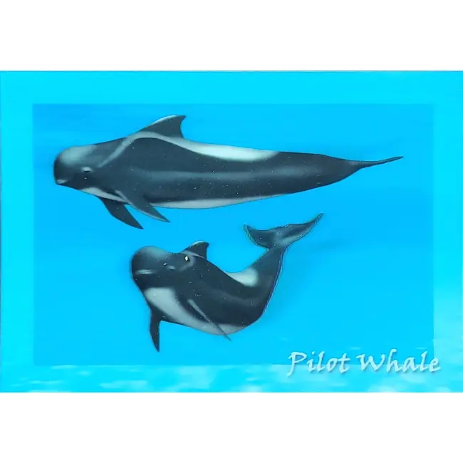 Pocztówka 3D, Grinwal – wyprzedaż