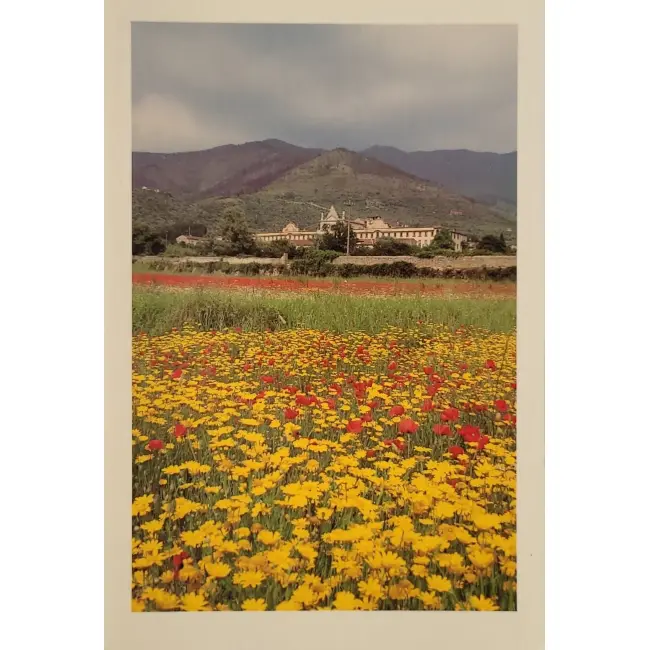 Widok na Certosa di Calci