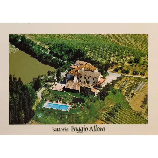 Saturnia Fattoria Poggio Alloro - widokówka duży format