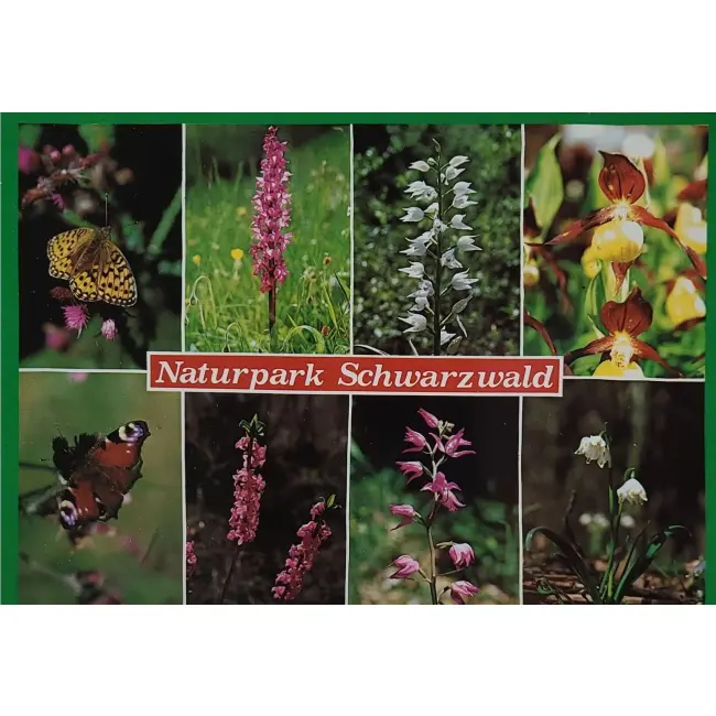 Schwarzwald Park Naturalny