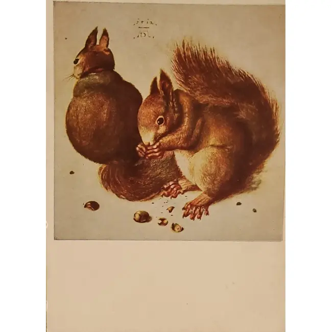Wiewiórka