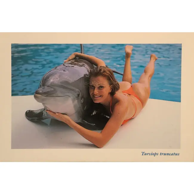 Delfin