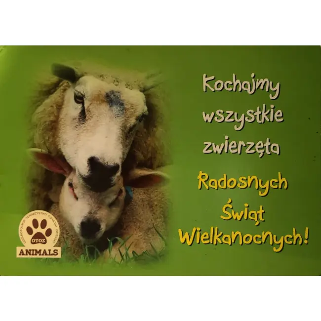 Owce – karnet