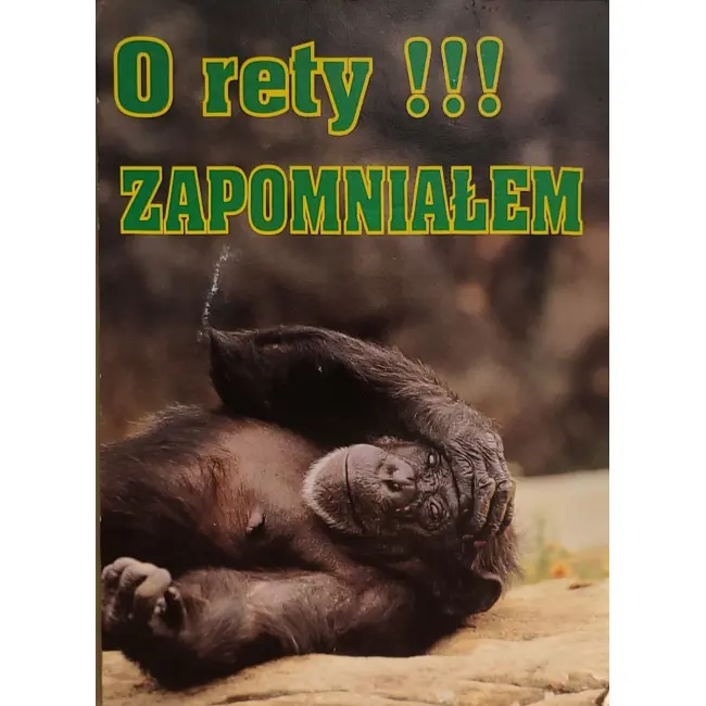 Szympans