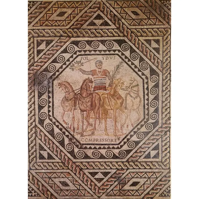 KOŃ. Trier, Muzeum Państwowe Nadreni
