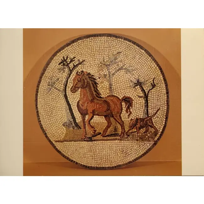 KOŃ. Trier, Muzeum Państwowe Nadreni
