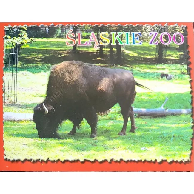 Bizon – Śląskie Zoo – wyprzedaż