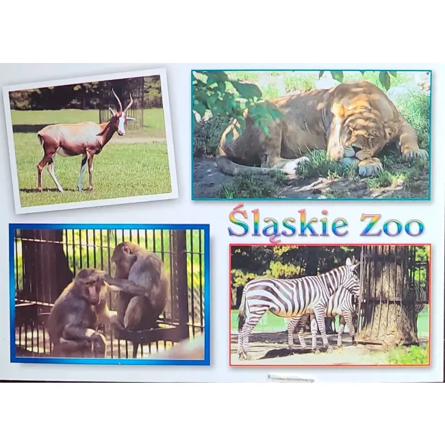 Lew, Zebra... – Śląskie Zoo – wyprzedaż