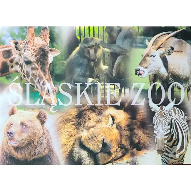 Niedźwiedź, Lew, Zebra... – Śląskie Zoo – wyprzedaż