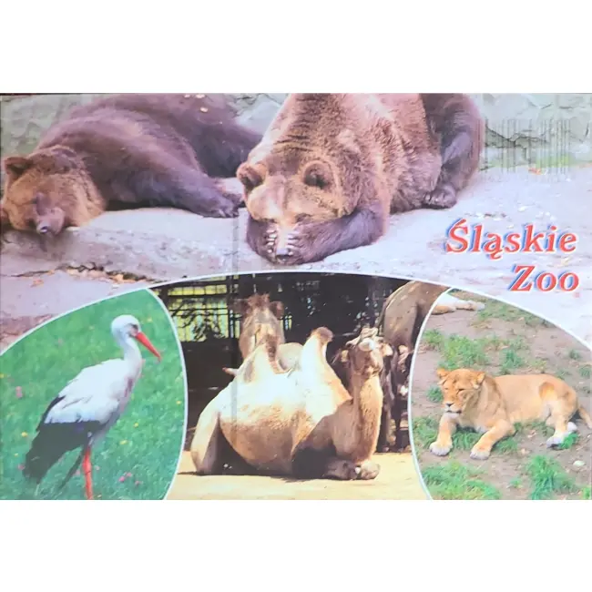 Niedźwiedź, Wielbłąd... – Śląskie Zoo – wyprzedaż