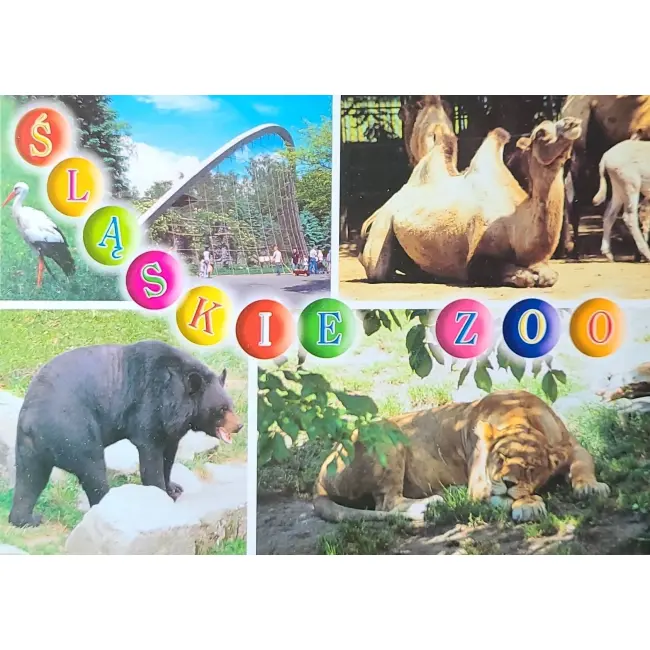 Wielbłąd, Niedźwiedź, Lew... – Śląskie Zoo – wyprzedaż