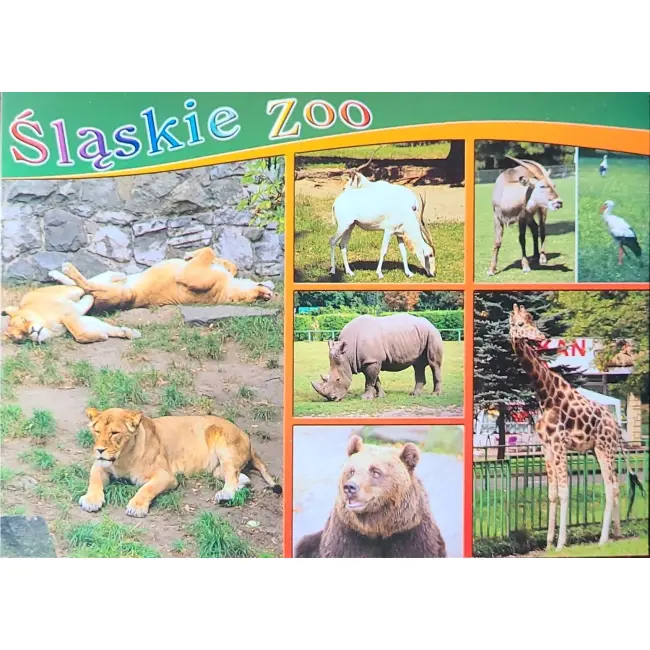 Lew, Nosorożec, Niedźwiedź…. – Śląskie Zoo – wyprzedaż