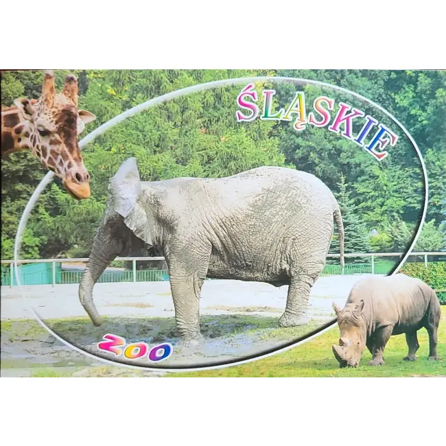 Słoń – Śląskie Zoo – wyprzedaż