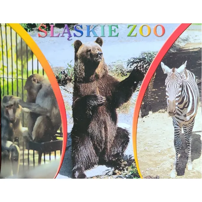 Niedźwiedź i inne zwierzęta – Śląskie Zoo – wyprzedaż