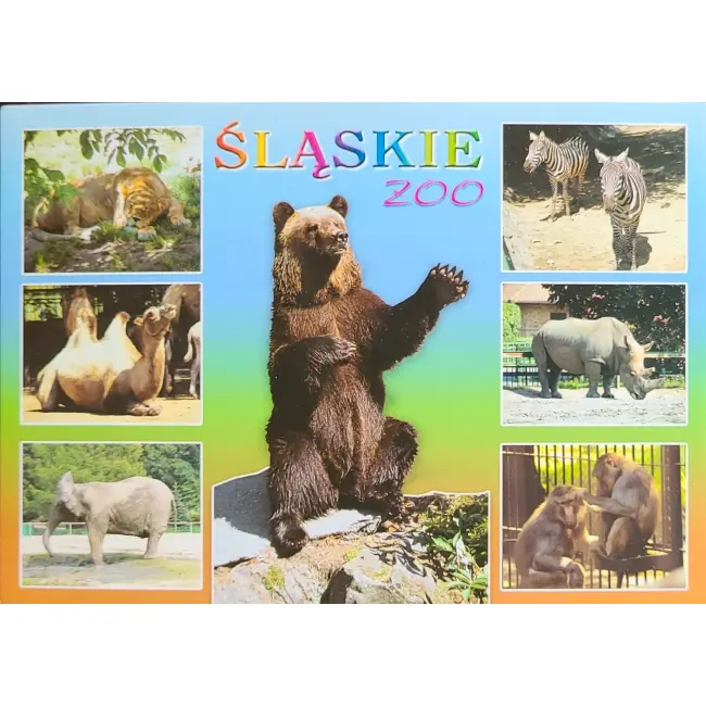 Zwierzęta – Śląskie Zoo - zestaw 23 szt.