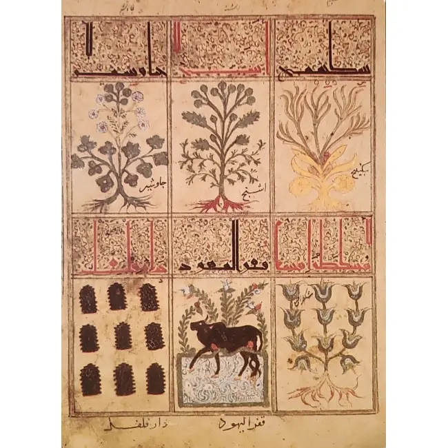 Byk w sztuce i historii Traktat o Theriaku (1199)