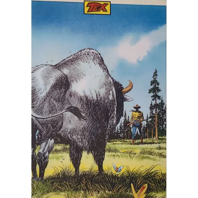 Byk w sztuce i historii Okładka komiksu z serii TEX Bizon