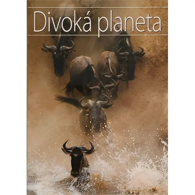 Byk w sztuce i historii Dziwna planeta – Byki