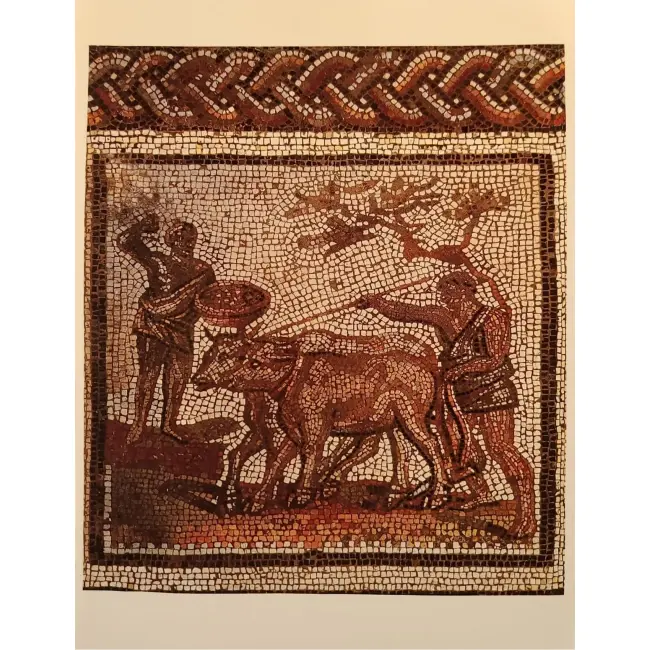 Byk w sztuce i historii: Antyczne Muzeum – mozaika orka i siew