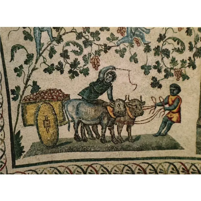 Byk w sztuce i historii: Rzym – kościół św Constaza – mozaika sceny z winobrania